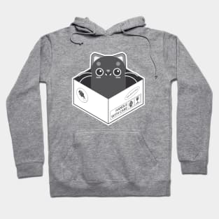 The Cat in the Box III Hoodie